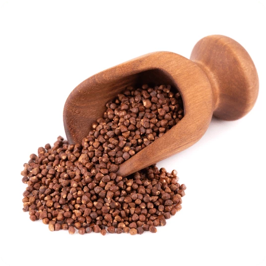 Grains of Paradise Seed Extract