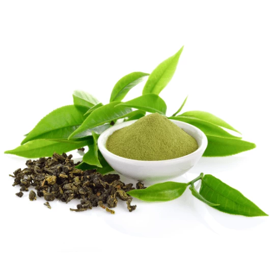 Green Tea Leaf Extract